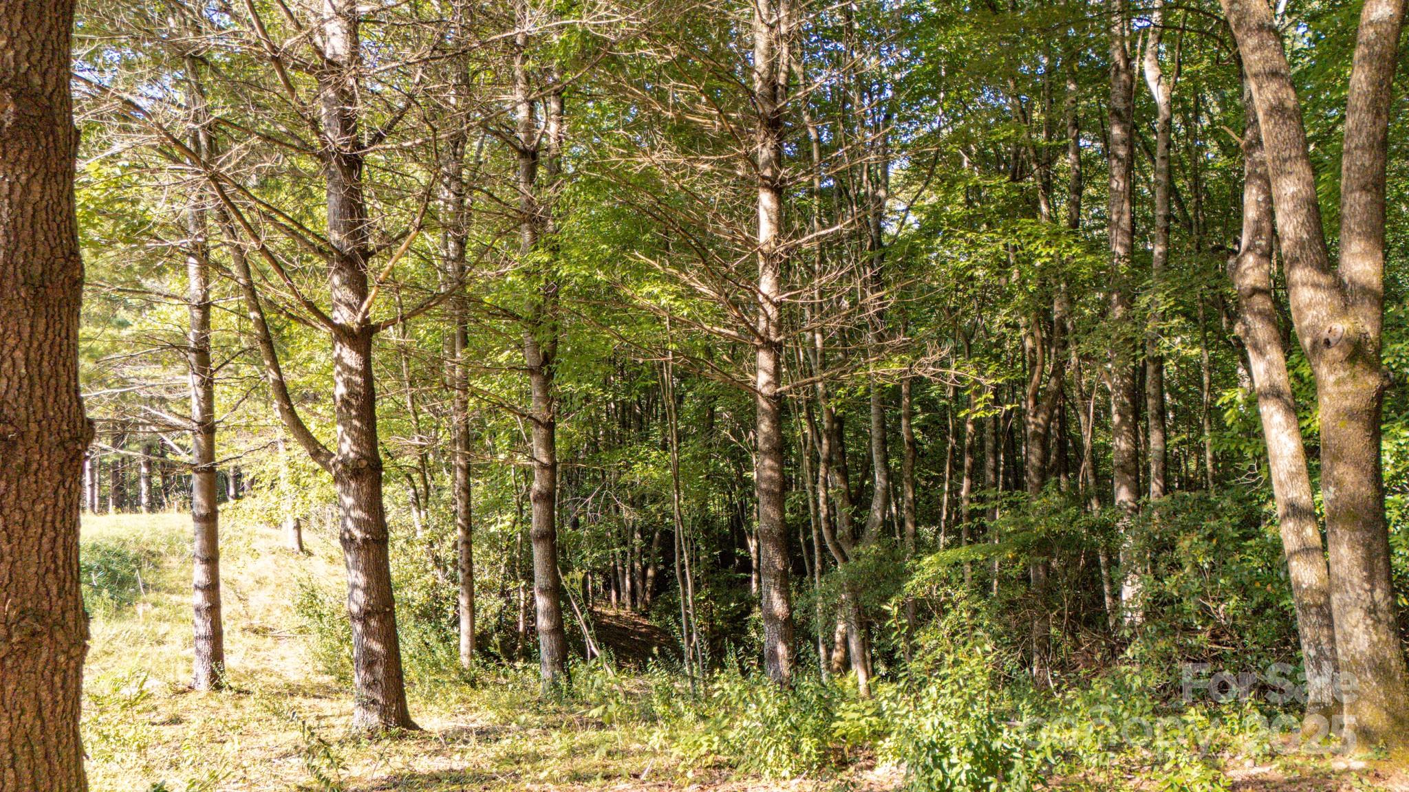 0 Clear Creek Drive Spruce Pine NC 28777