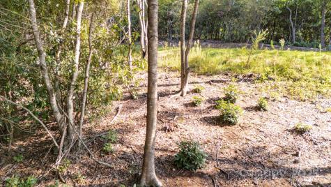 0 Clear Creek Drive Spruce Pine NC 28777