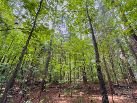 0 Powell Avenue Lancaster SC 29720