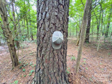 0 Powell Avenue Lancaster SC 29720