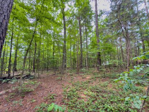 0 Powell Avenue Lancaster SC 29720