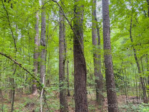 0 Powell Avenue Lancaster SC 29720