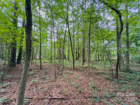 0 Powell Avenue Lancaster SC 29720