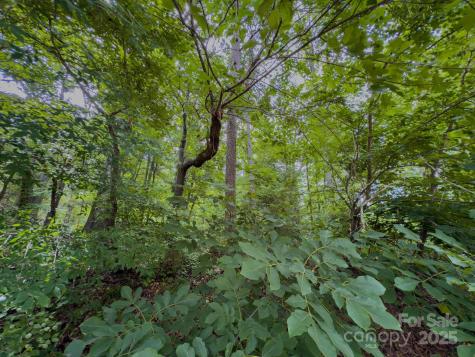 0 Powell Avenue Lancaster SC 29720