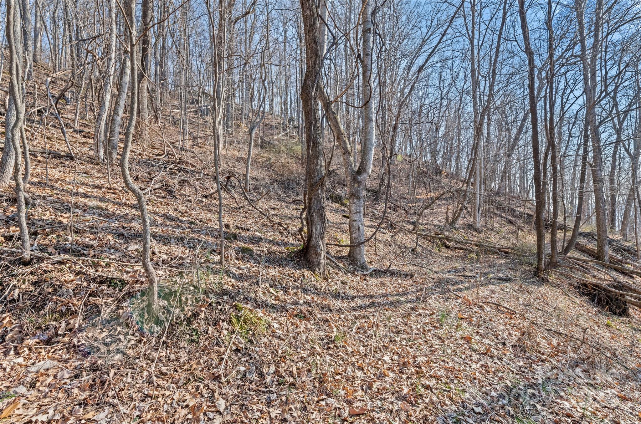 00 Purple Martin Lane Waynesville NC 28785