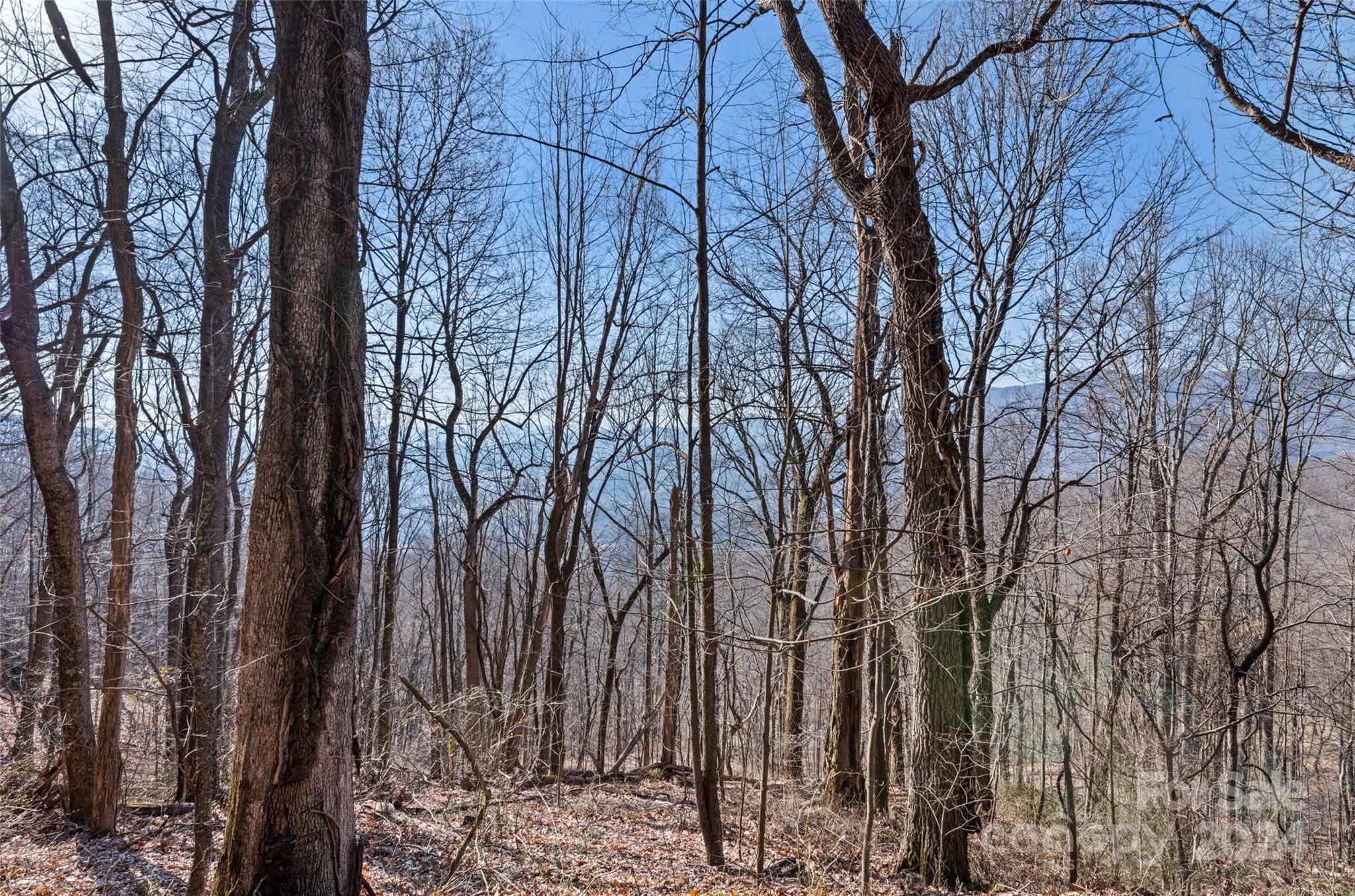 00 Purple Martin Lane Waynesville NC 28785