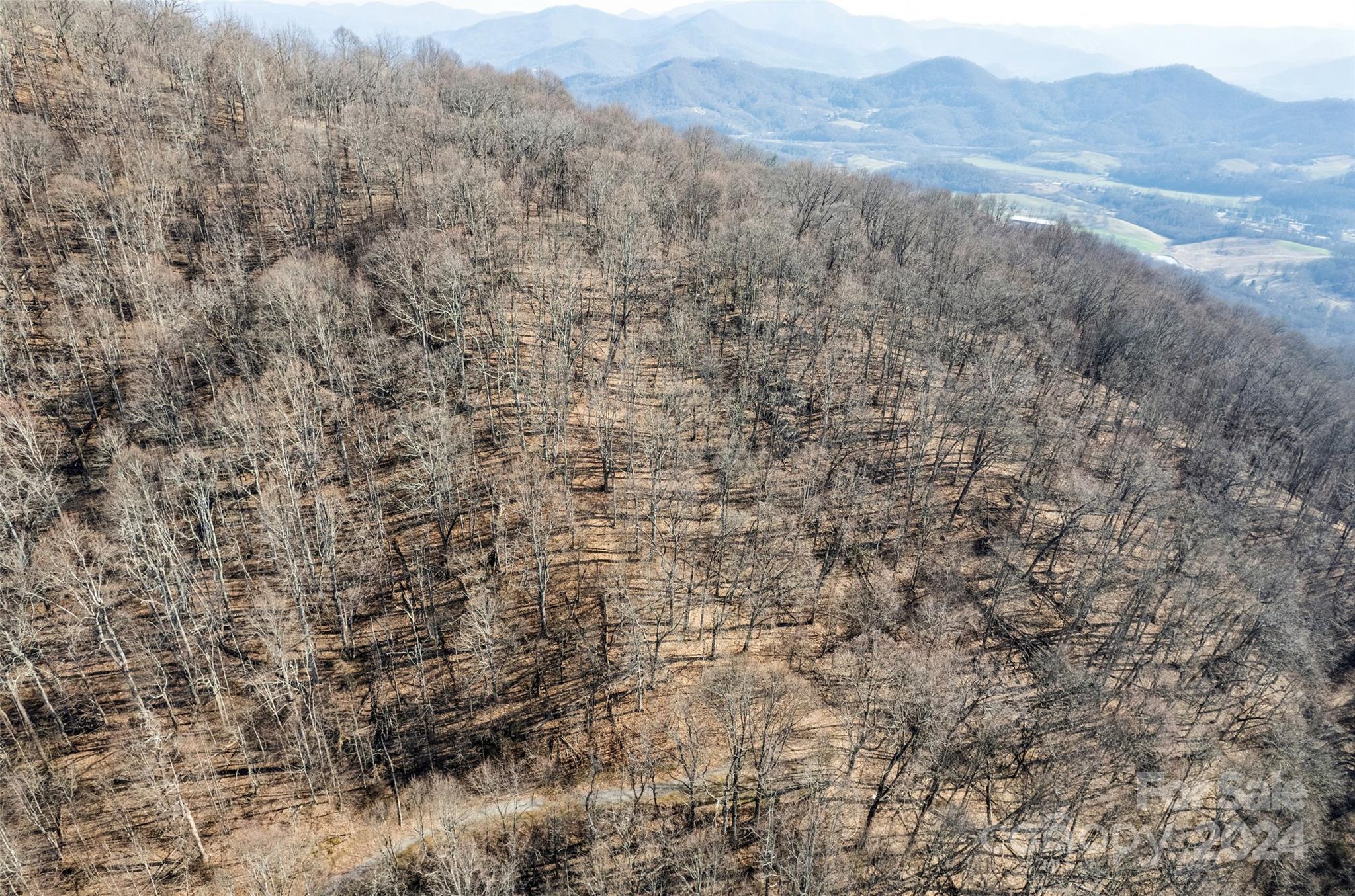 00 Purple Martin Lane Waynesville NC 28785