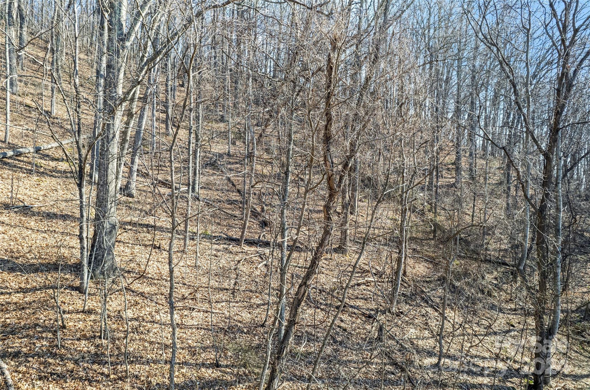 00 Purple Martin Lane Waynesville NC 28785