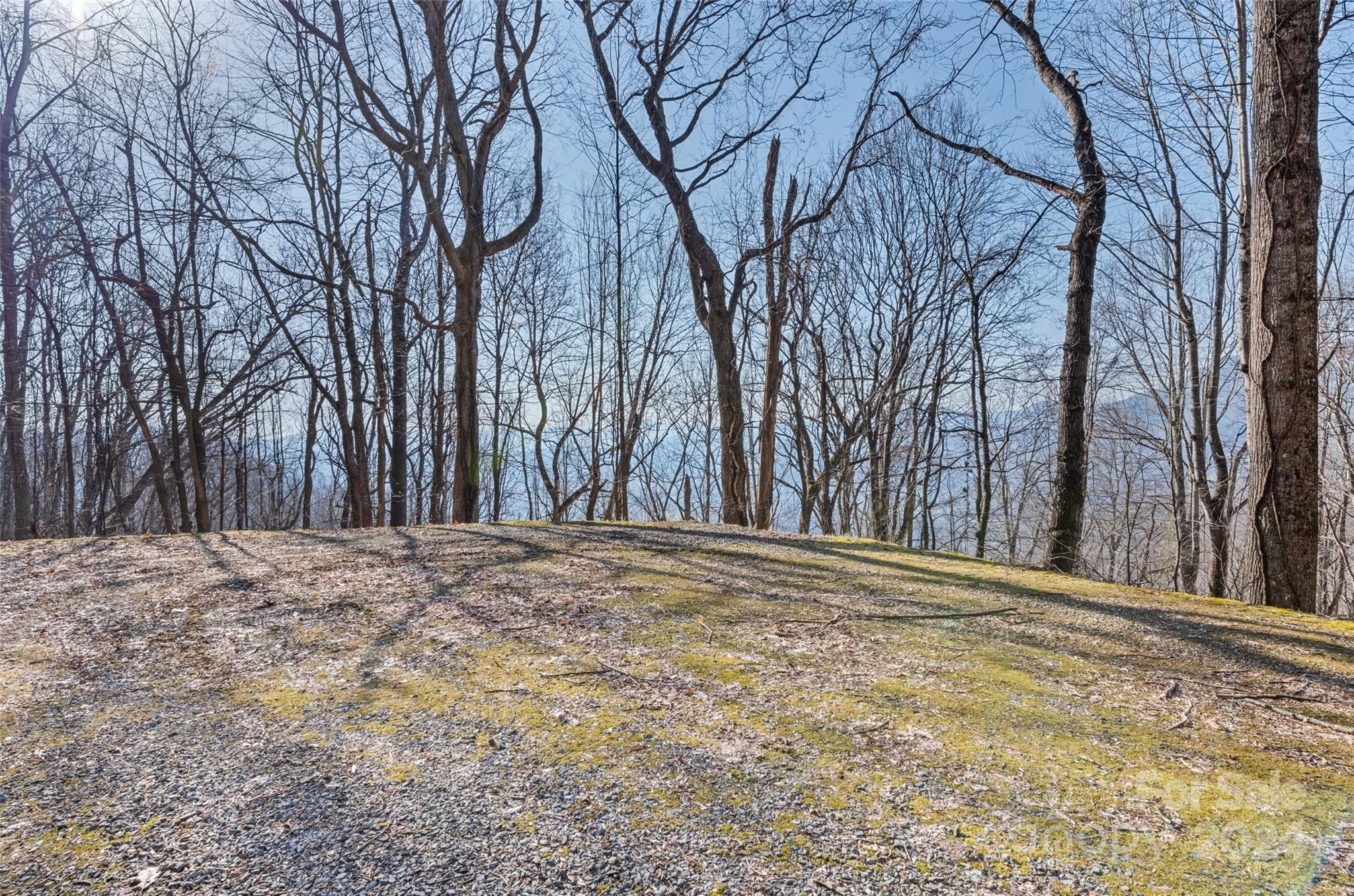 00 Purple Martin Lane Waynesville NC 28785