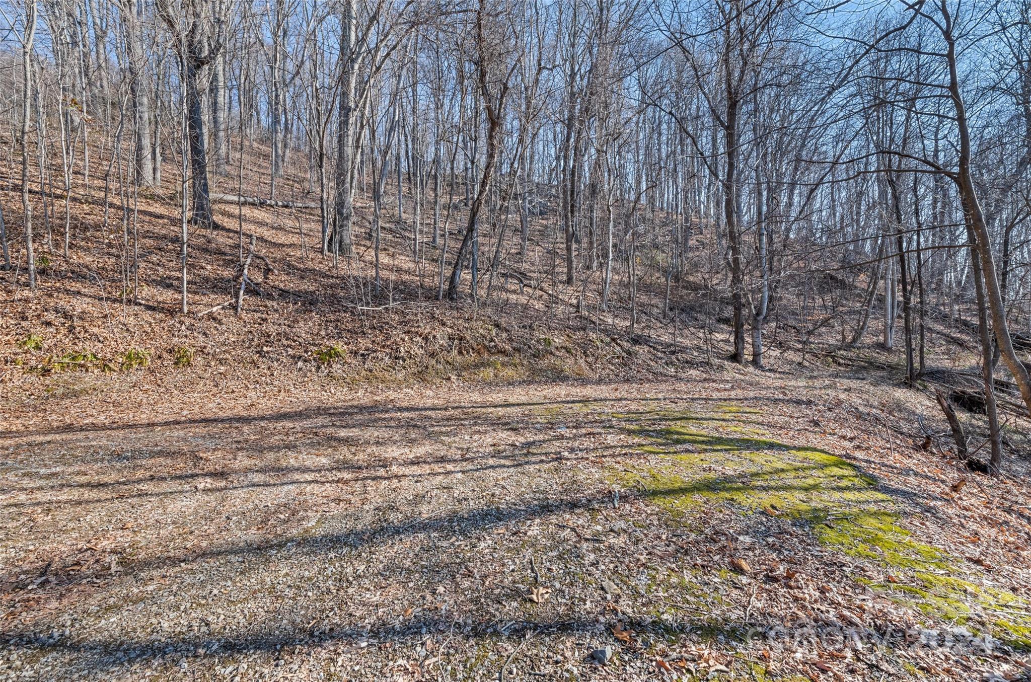 00 Purple Martin Lane Waynesville NC 28785
