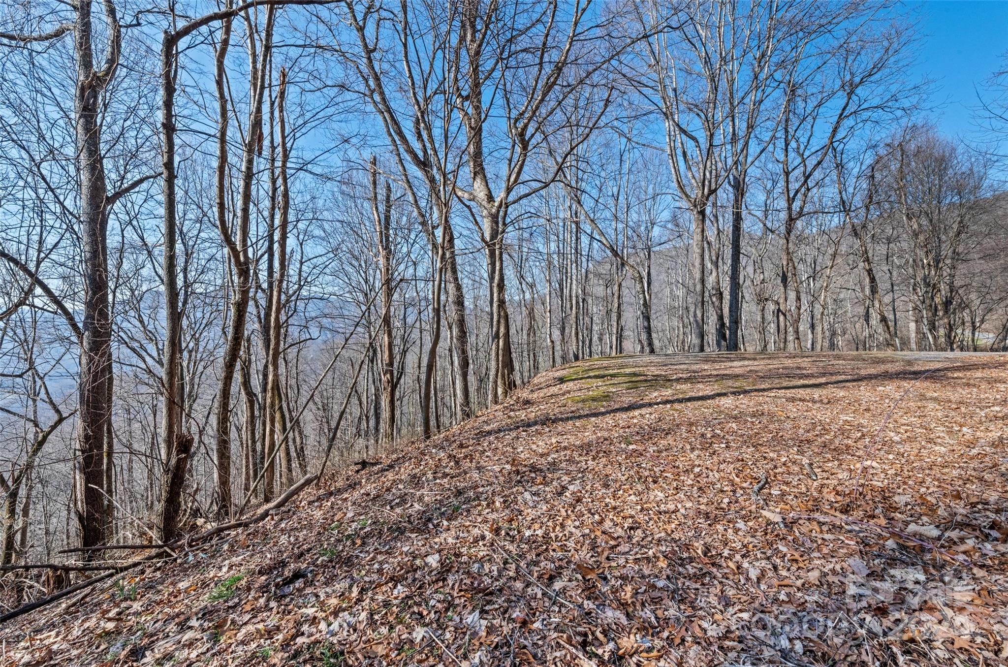 00 Purple Martin Lane Waynesville NC 28785