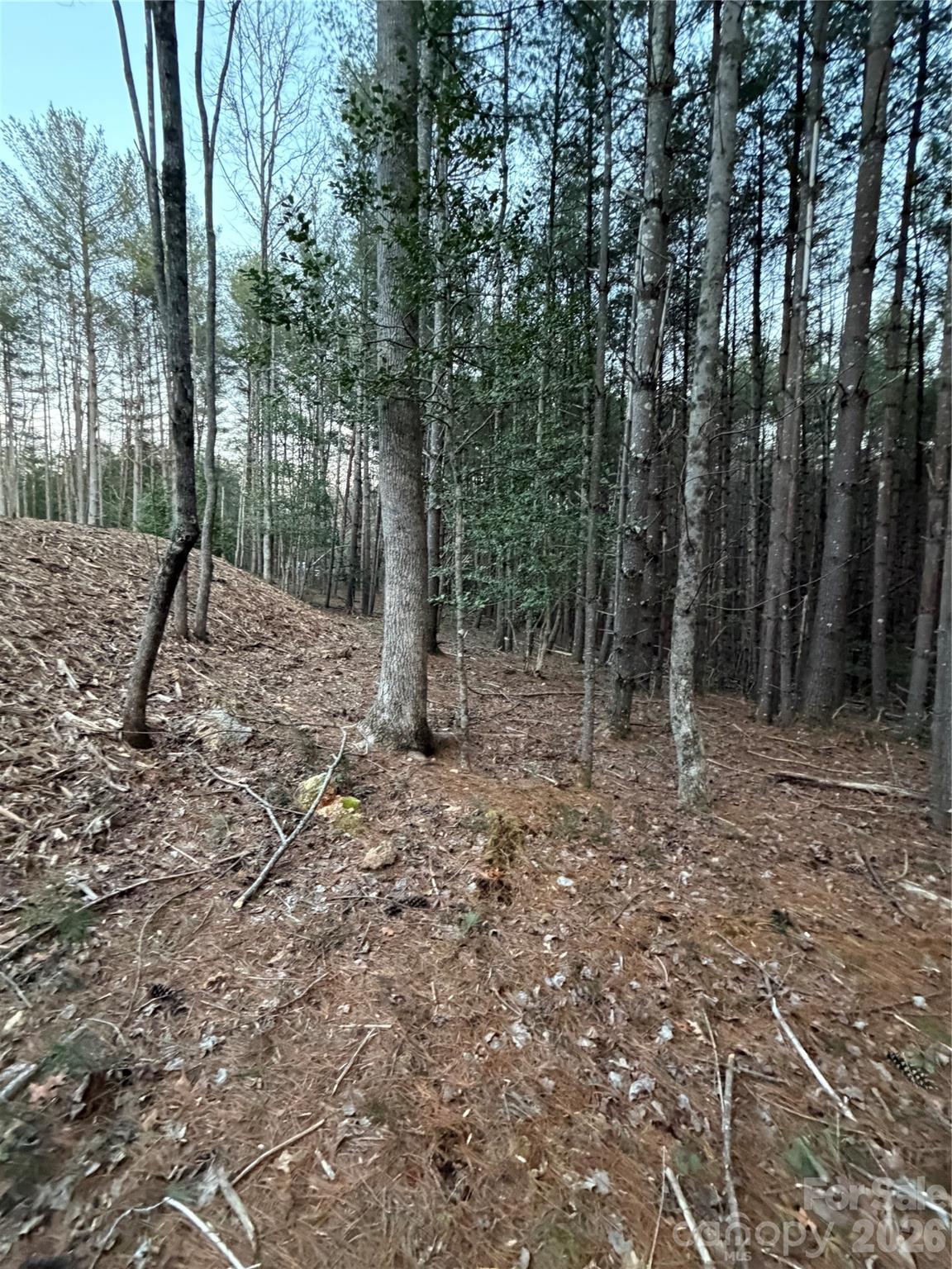 1388 Old Dry Creek Road Morganton NC 28655