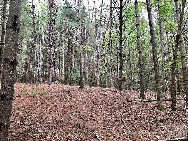 1388 Old Dry Creek Road Morganton NC 28655