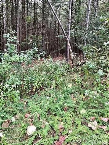 1388 Old Dry Creek Road Morganton NC 28655