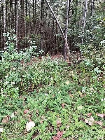 1388 Old Dry Creek Road Morganton NC 28655
