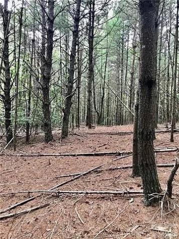 1388 Old Dry Creek Road Morganton NC 28655