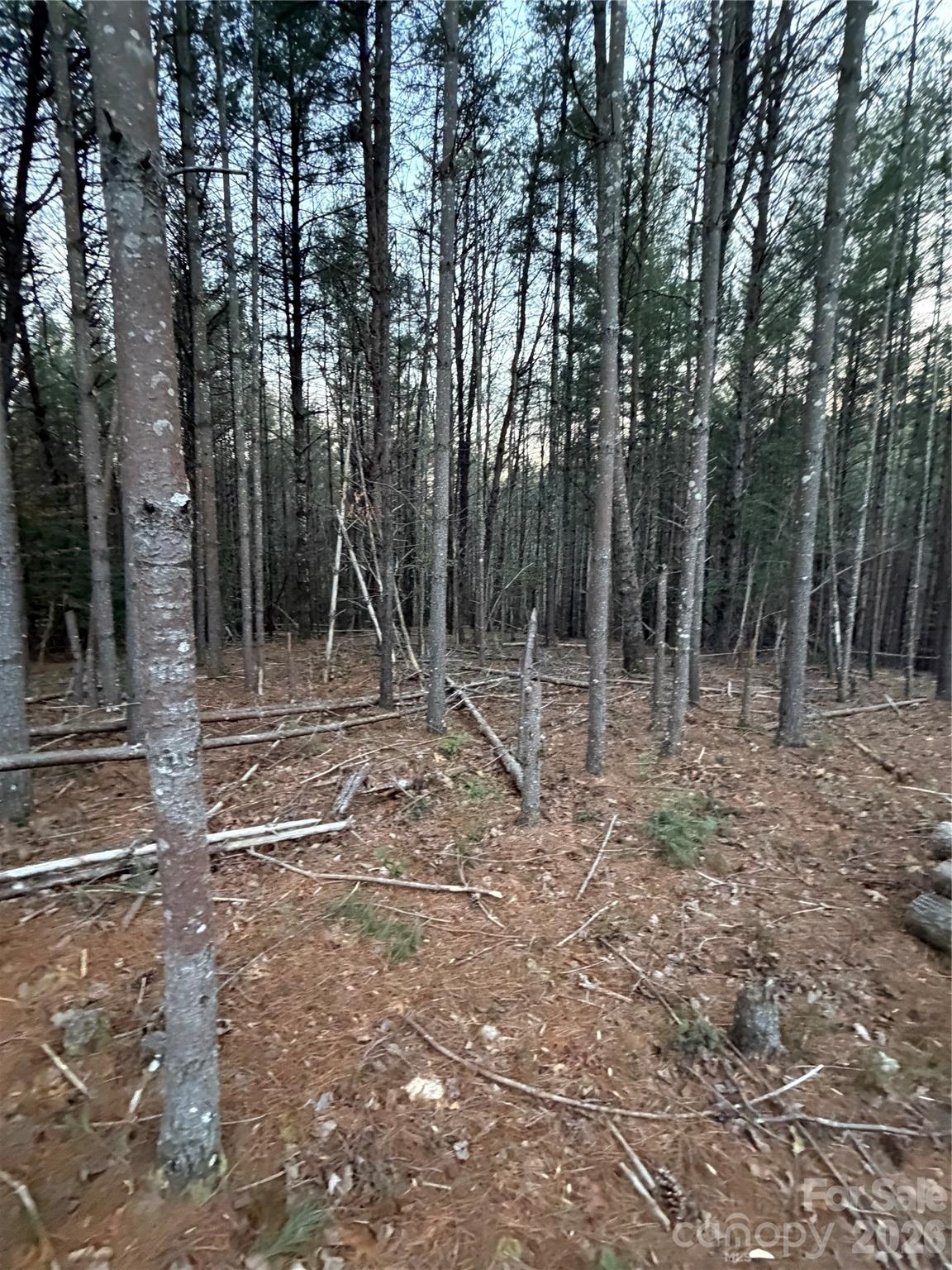 1388 Old Dry Creek Road Morganton NC 28655