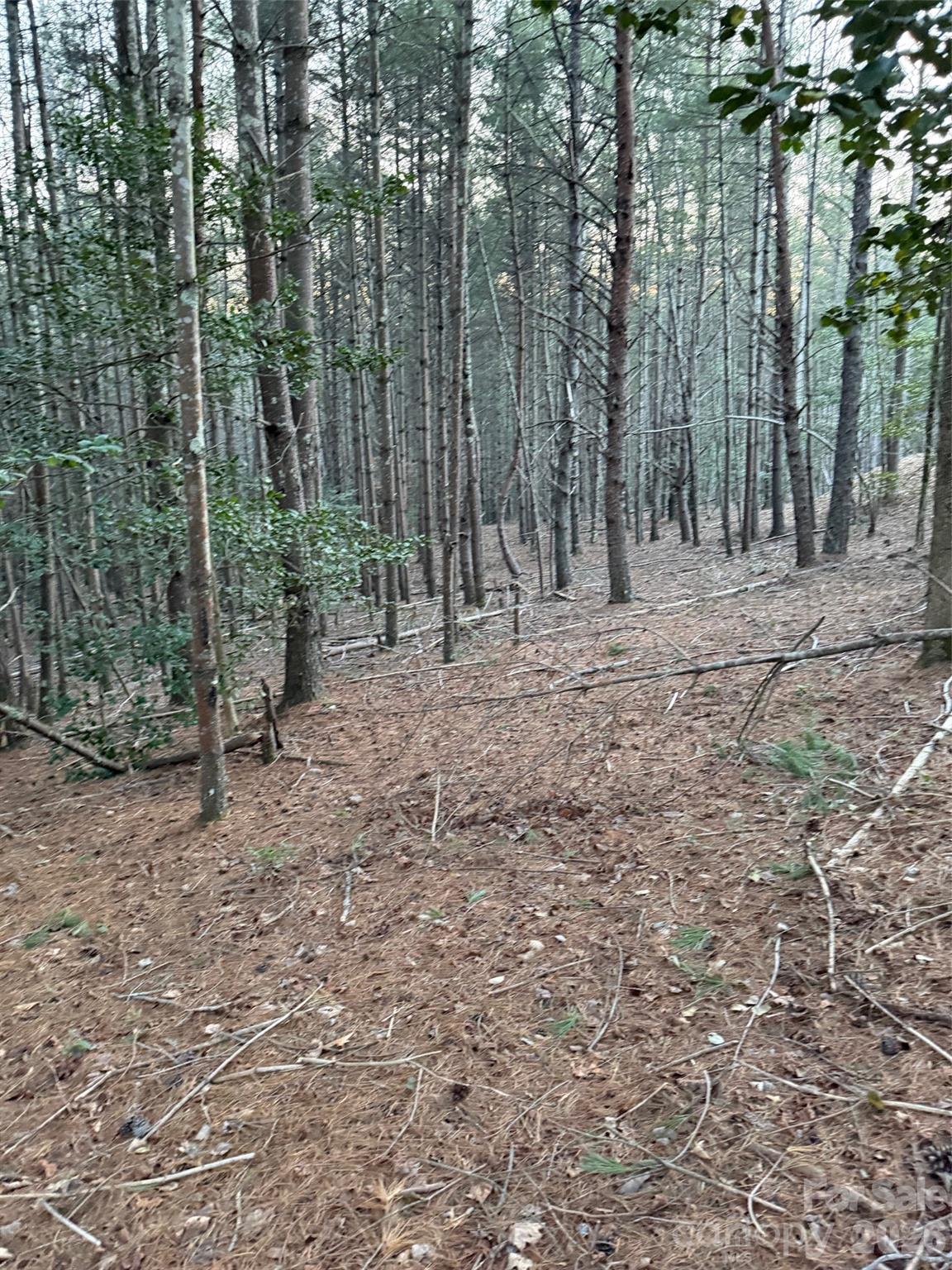 1388 Old Dry Creek Road Morganton NC 28655