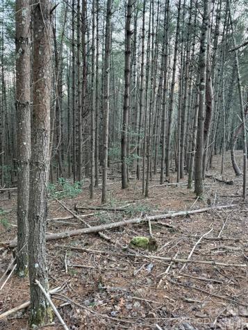 1388 Old Dry Creek Road Morganton NC 28655