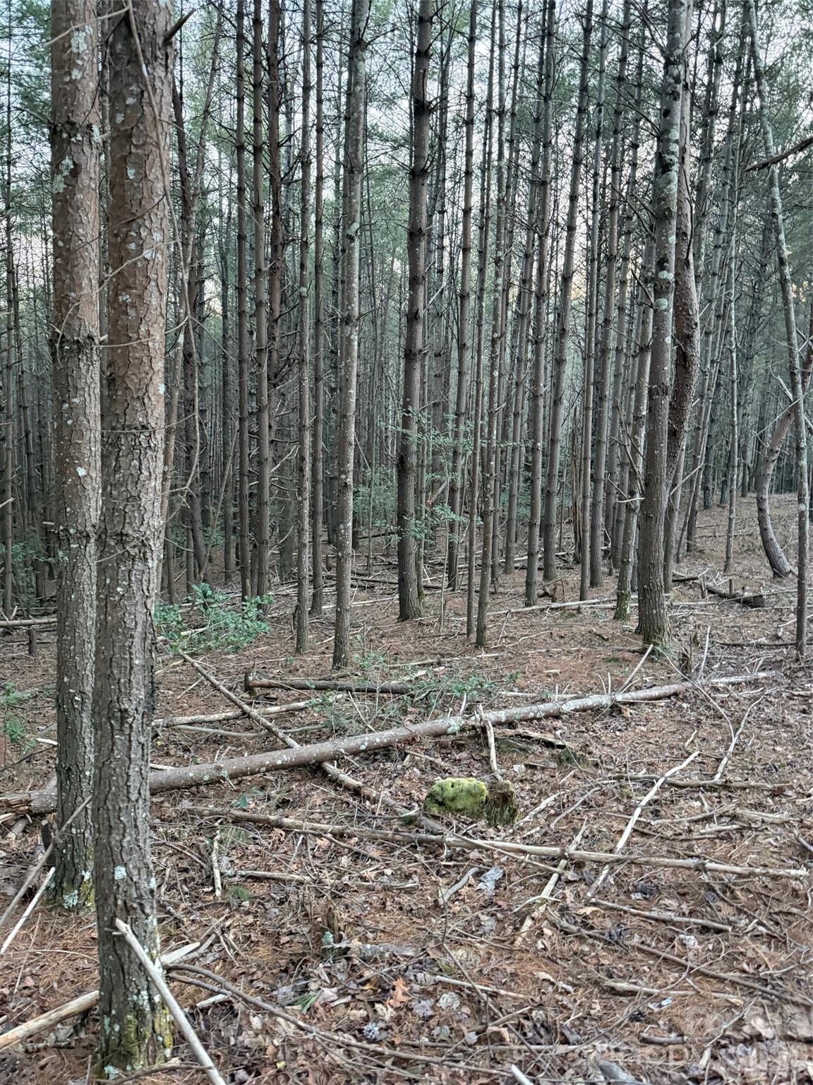 1388 Old Dry Creek Road Morganton NC 28655