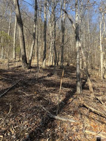 890 Fisher Branch Road Marshall NC 28753