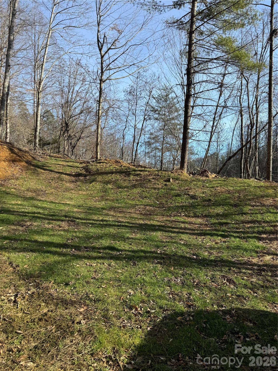 890 Fisher Branch Road Marshall NC 28753