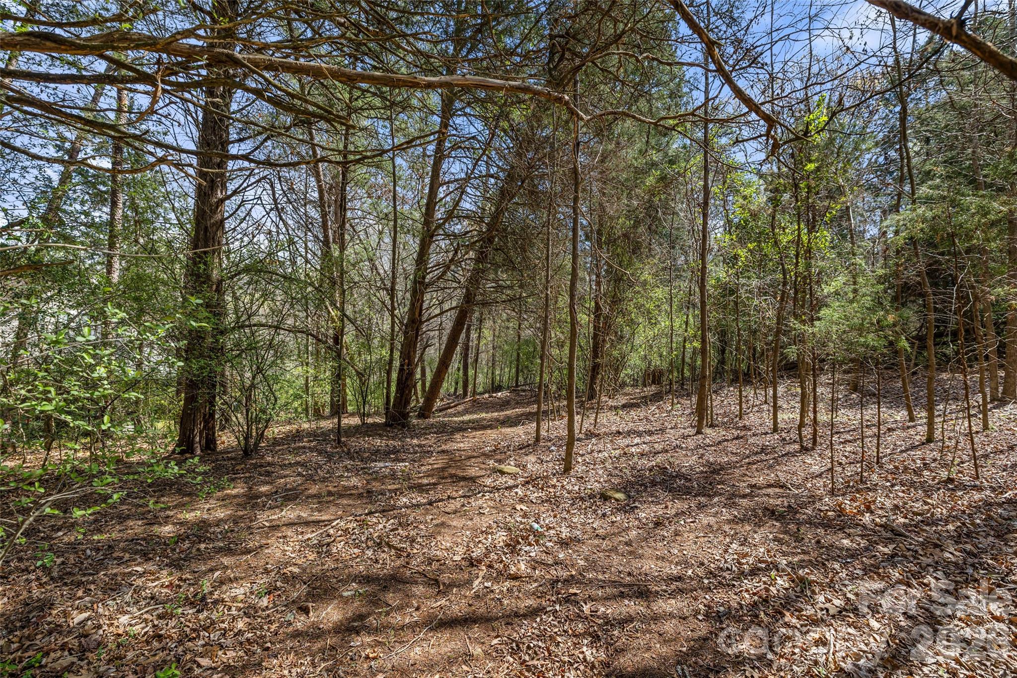 12615 Burr Oak Lane Charlotte NC 28278