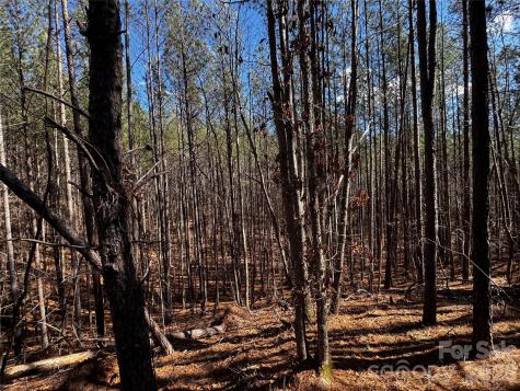 Lt 5 Geebees Way Mill Spring NC 28756