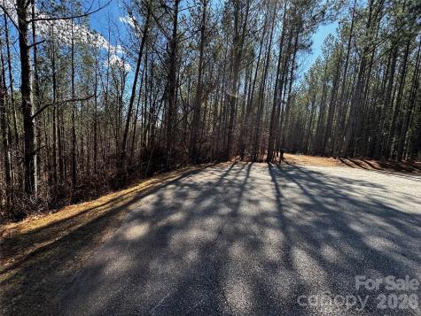 Lt 5 Geebees Way Mill Spring NC 28756