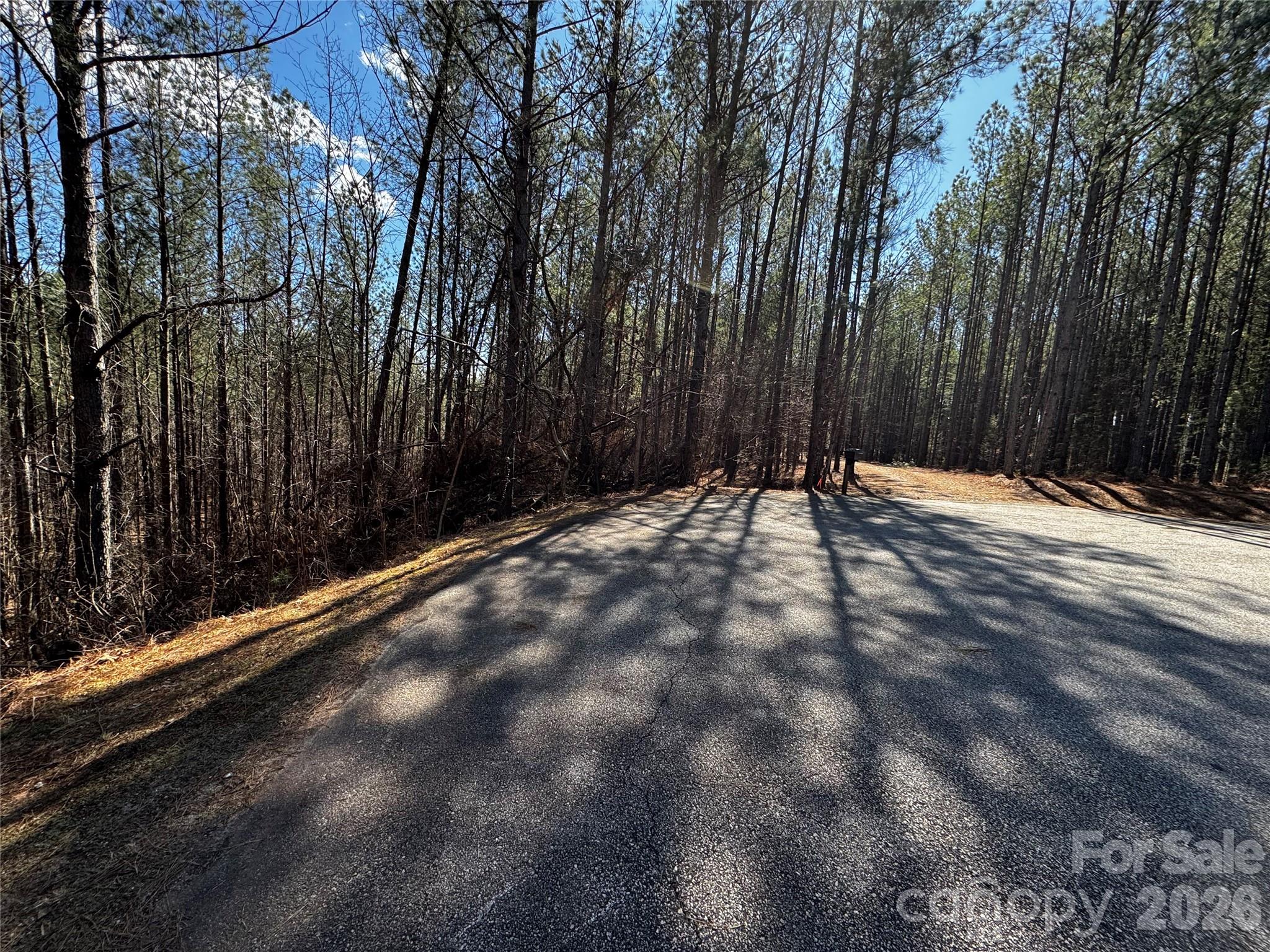 Lt 5 Geebees Way Mill Spring NC 28756