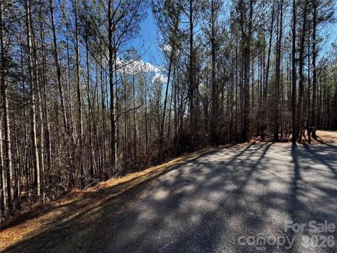 Lt 5 Geebees Way Mill Spring NC 28756