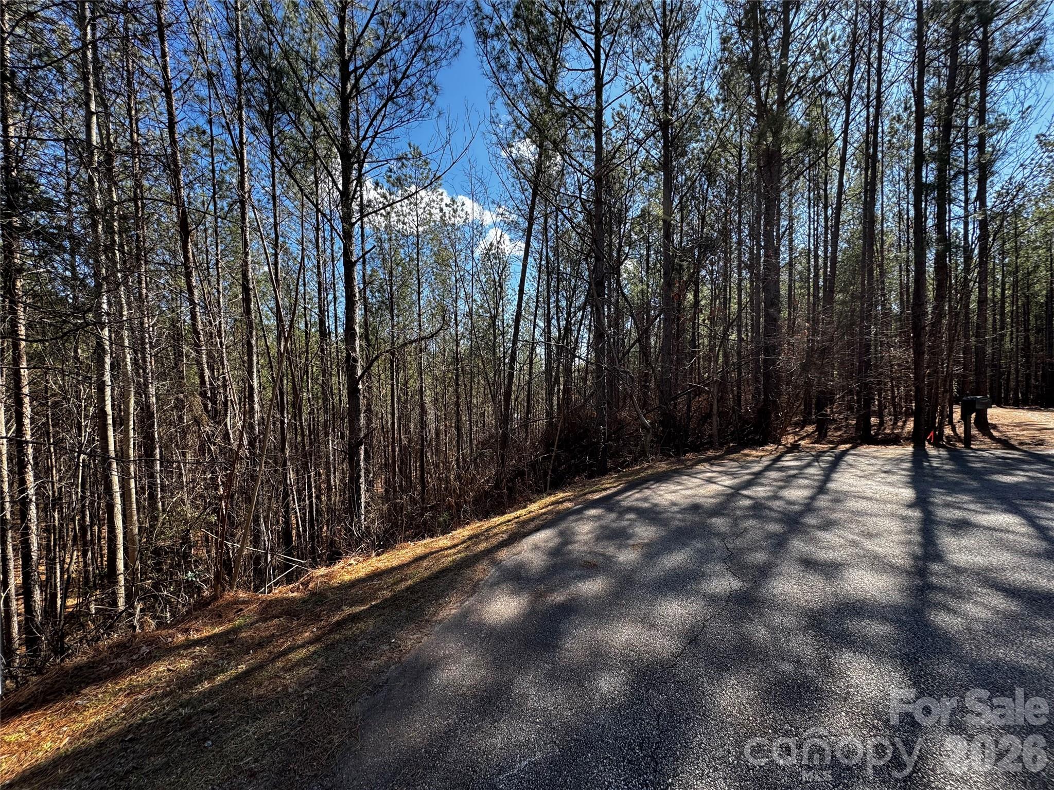 Lt 5 Geebees Way Mill Spring NC 28756