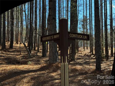Lt 5 Geebees Way Mill Spring NC 28756