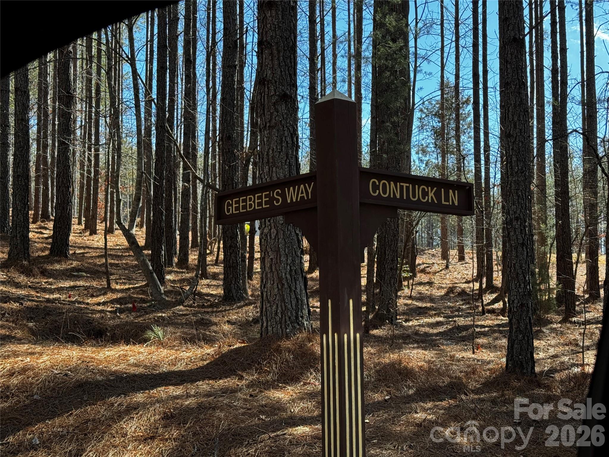 Lt 5 Geebees Way Mill Spring NC 28756