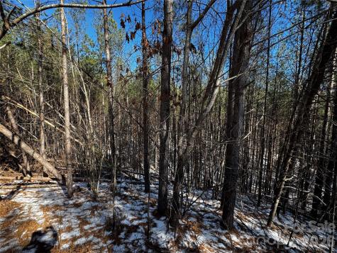 Lt 5 Geebees Way Mill Spring NC 28756