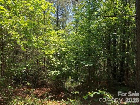 Lt 5 Geebees Way Mill Spring NC 28756