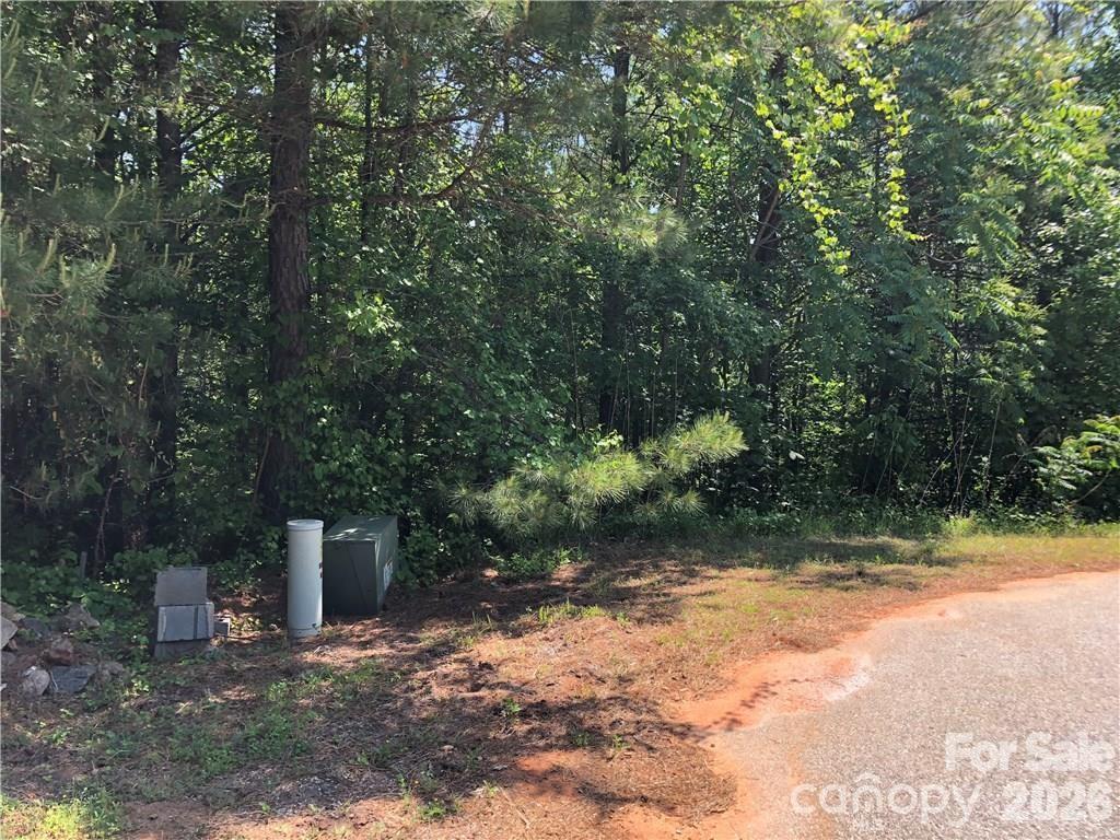 Lt 5 Geebees Way Mill Spring NC 28756