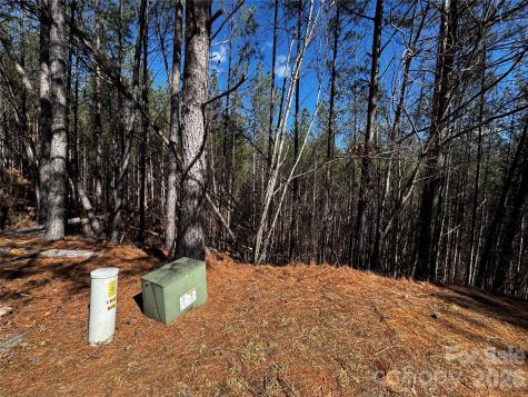 Lt 5 Geebees Way Mill Spring NC 28756