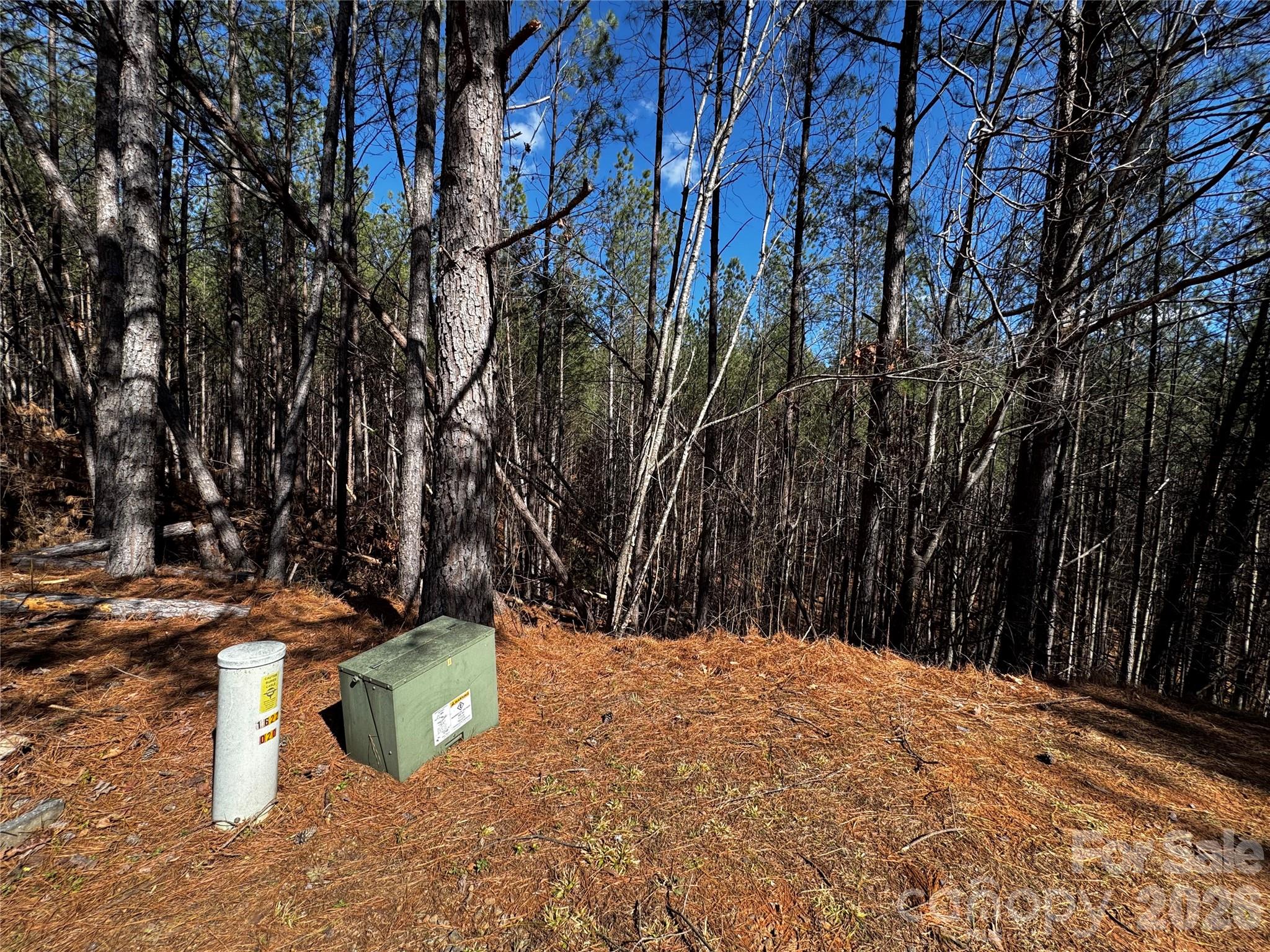 Lt 5 Geebees Way Mill Spring NC 28756
