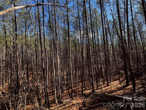 Lt 5 Geebees Way Mill Spring NC 28756