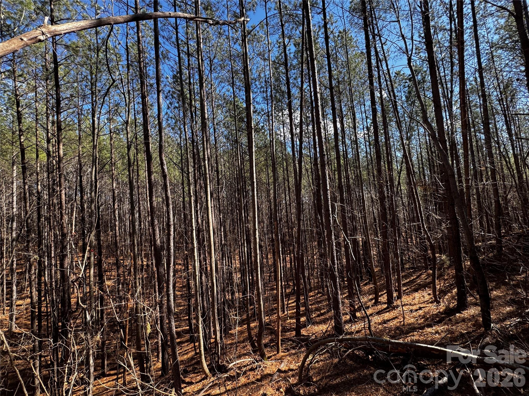 Lt 5 Geebees Way Mill Spring NC 28756