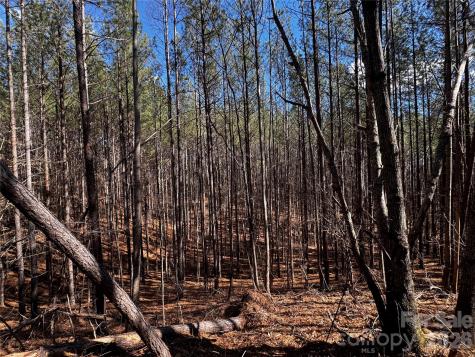 Lt 5 Geebees Way Mill Spring NC 28756