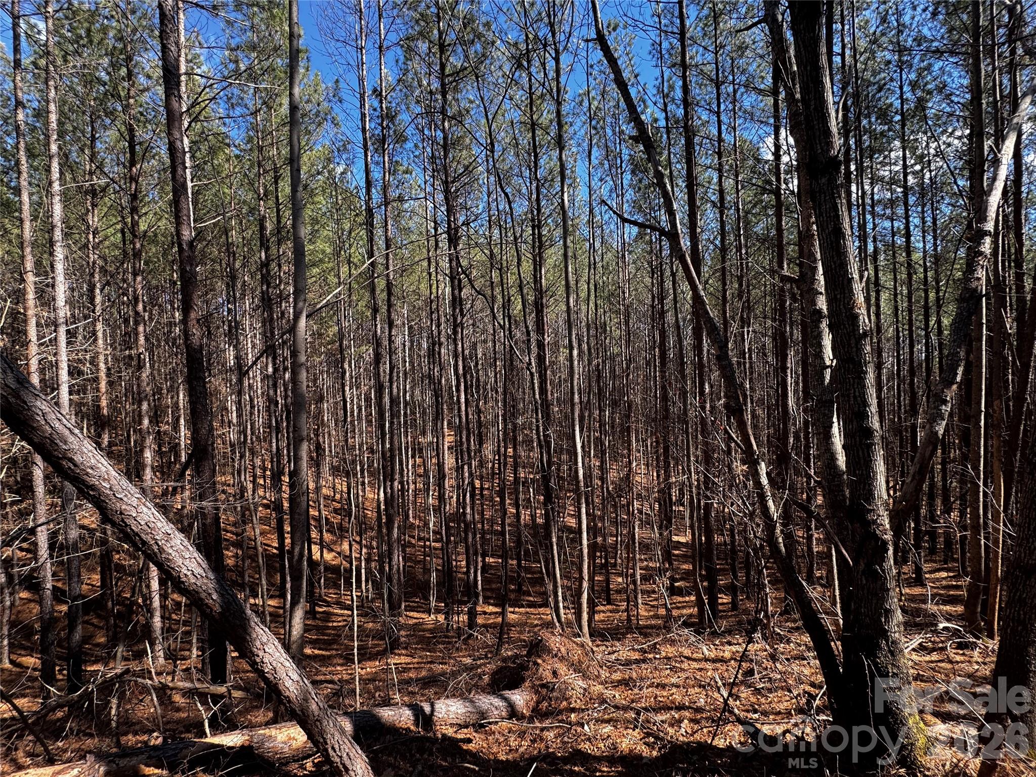 Lt 5 Geebees Way Mill Spring NC 28756