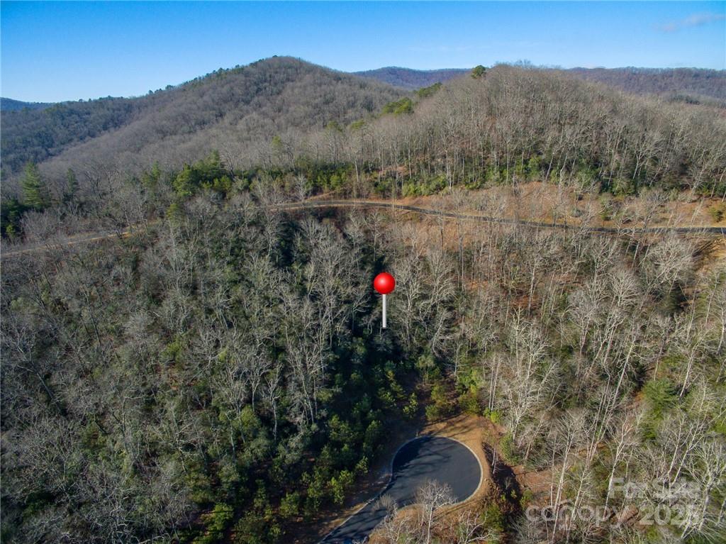 9999 Mayfly Lane Horse Shoe NC 28742