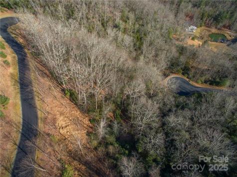 9999 Mayfly Lane Horse Shoe NC 28742