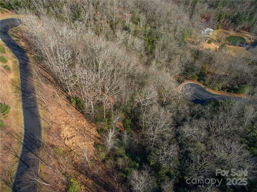 9999 Mayfly Lane Horse Shoe NC 28742