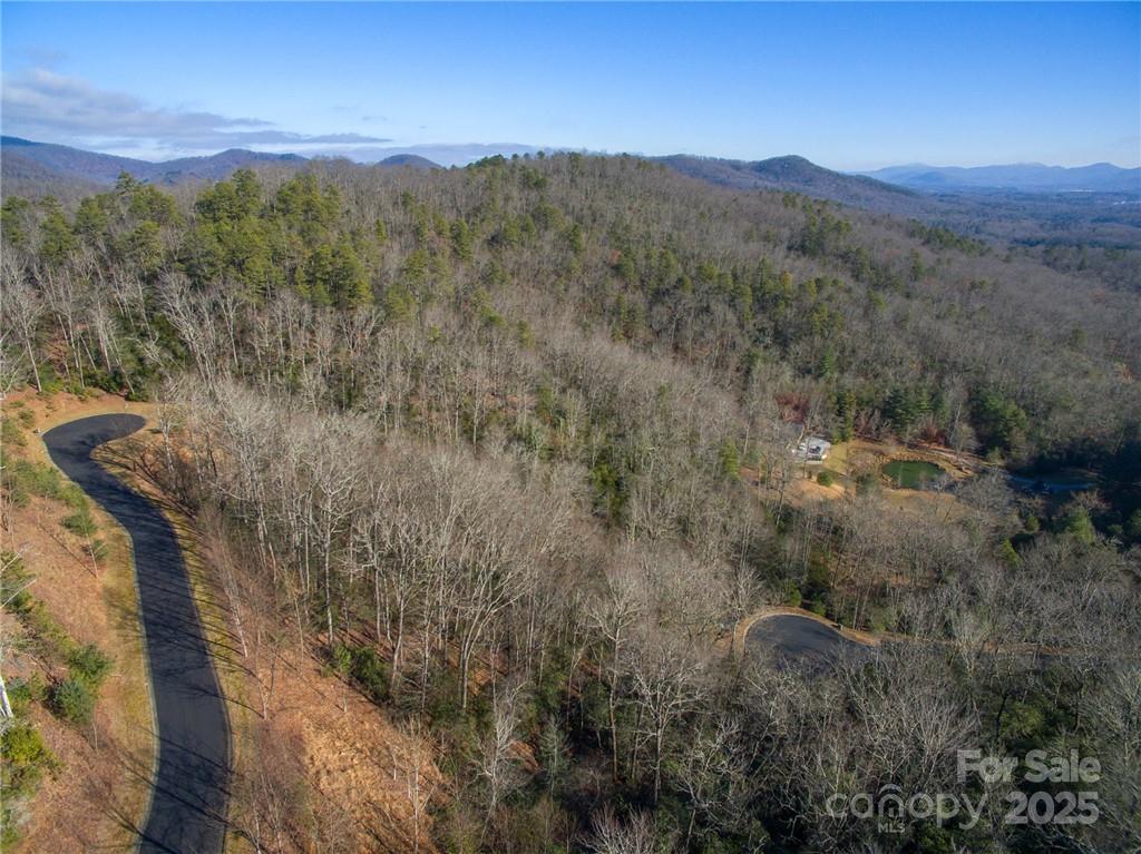 9999 Mayfly Lane Horse Shoe NC 28742