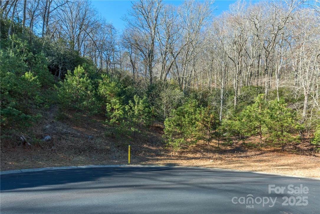 9999 Mayfly Lane Horse Shoe NC 28742