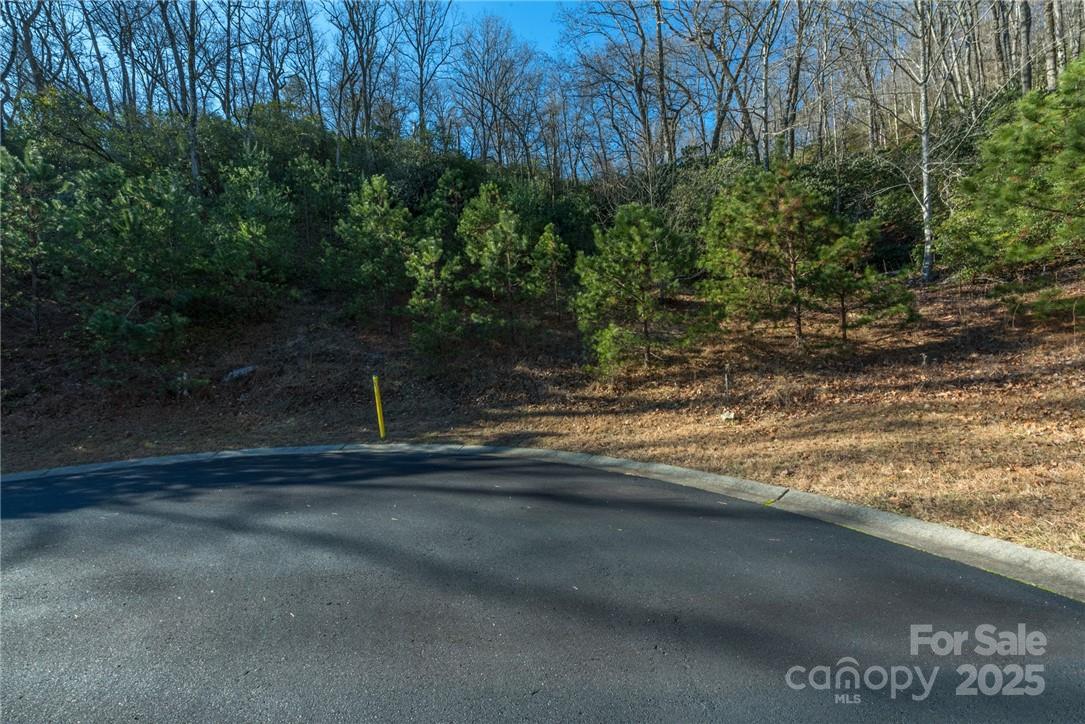 9999 Mayfly Lane Horse Shoe NC 28742