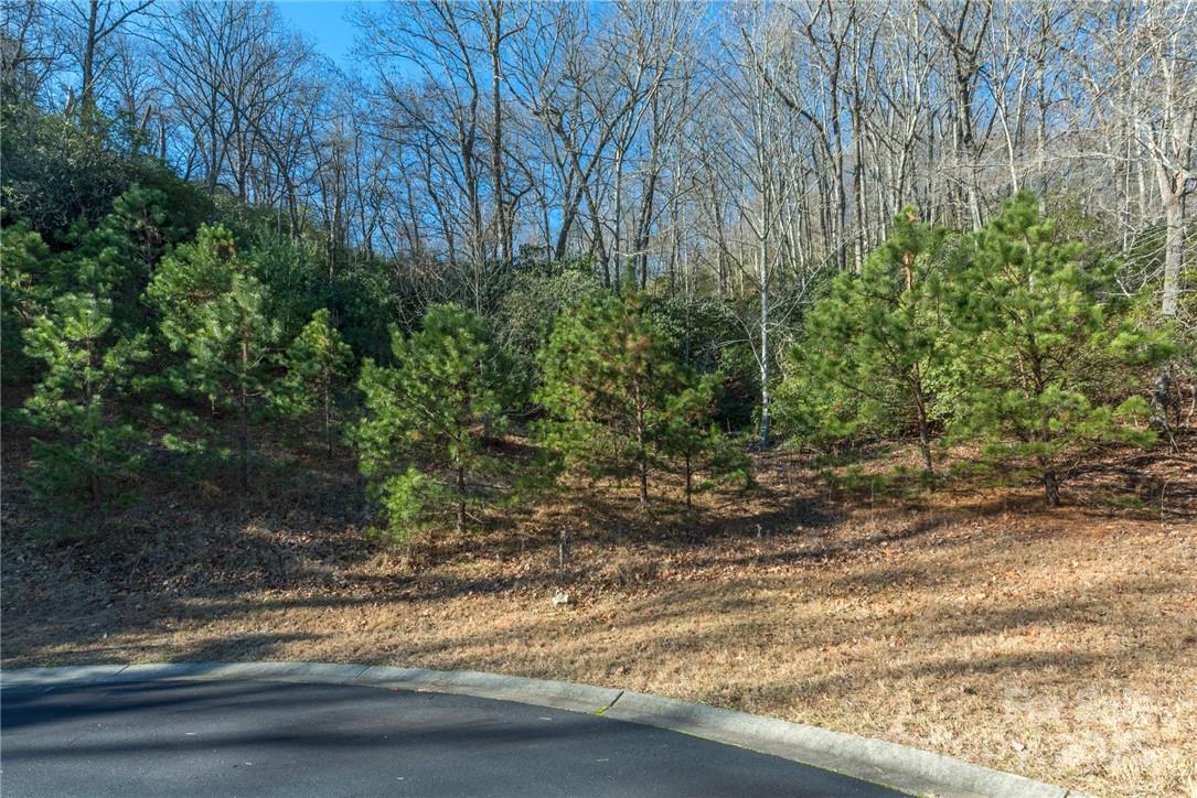 9999 Mayfly Lane Horse Shoe NC 28742